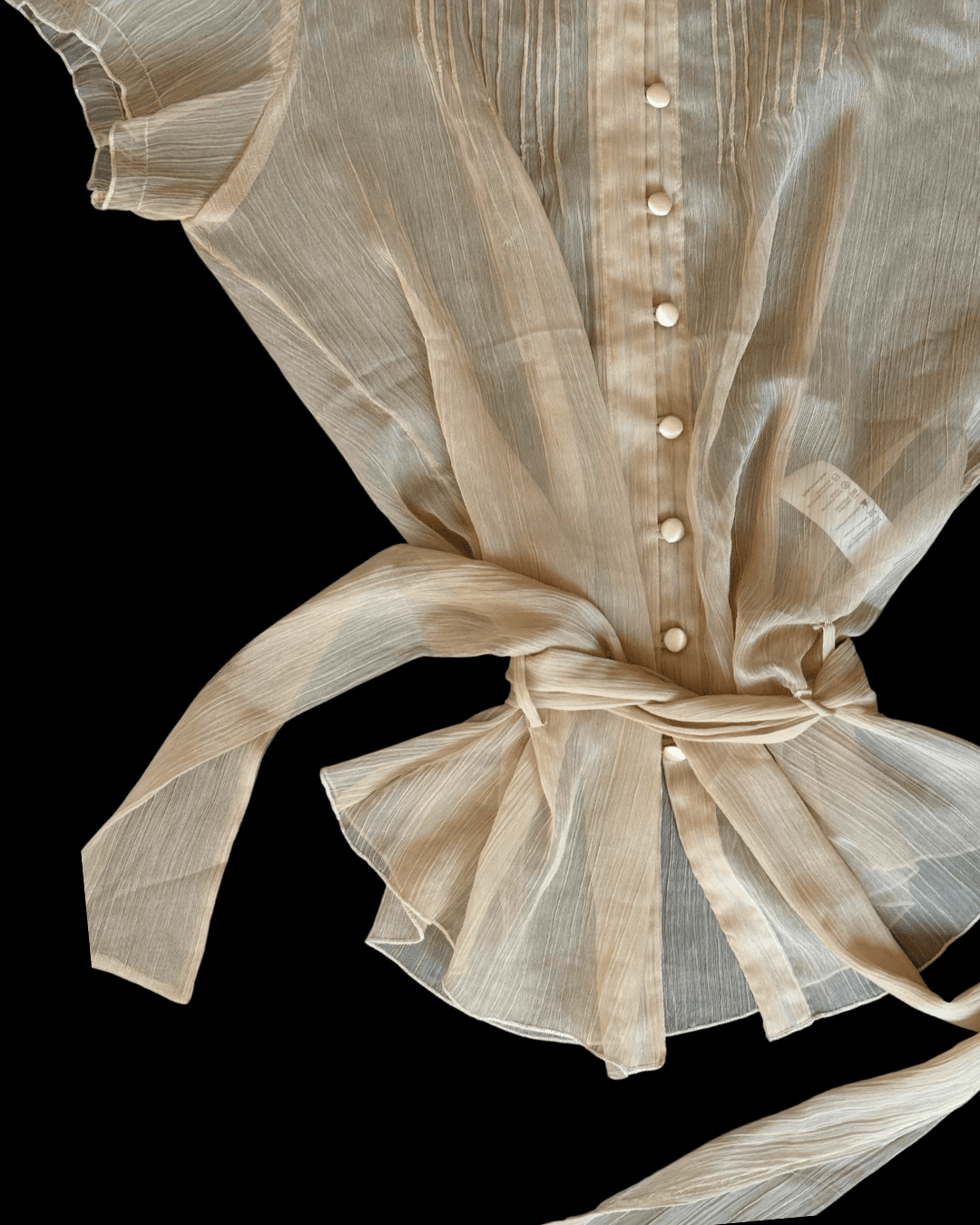 Belted Sheer Blouse