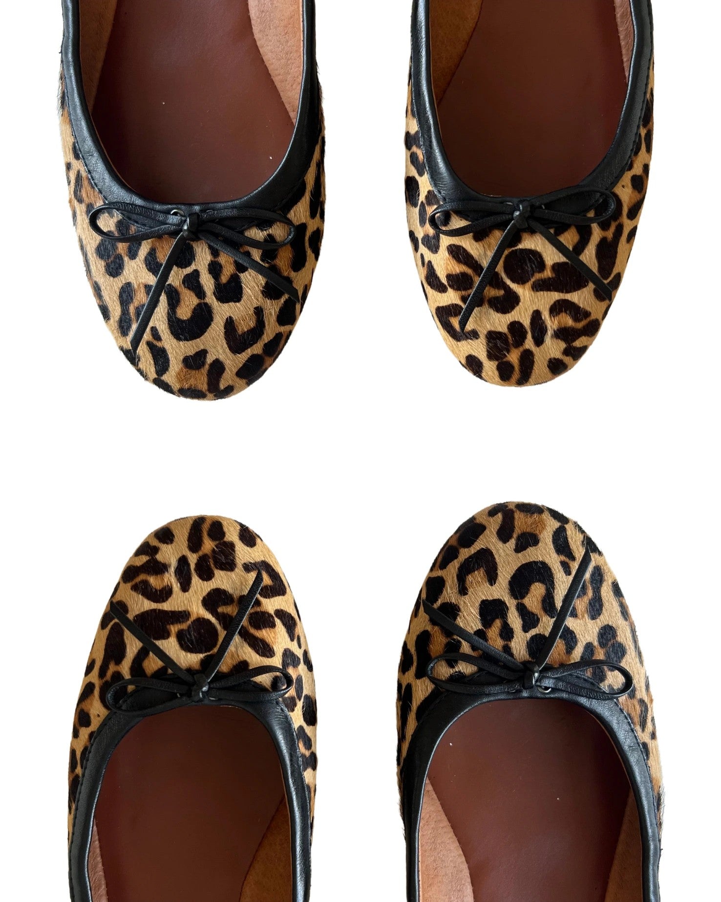 Leopar Babet