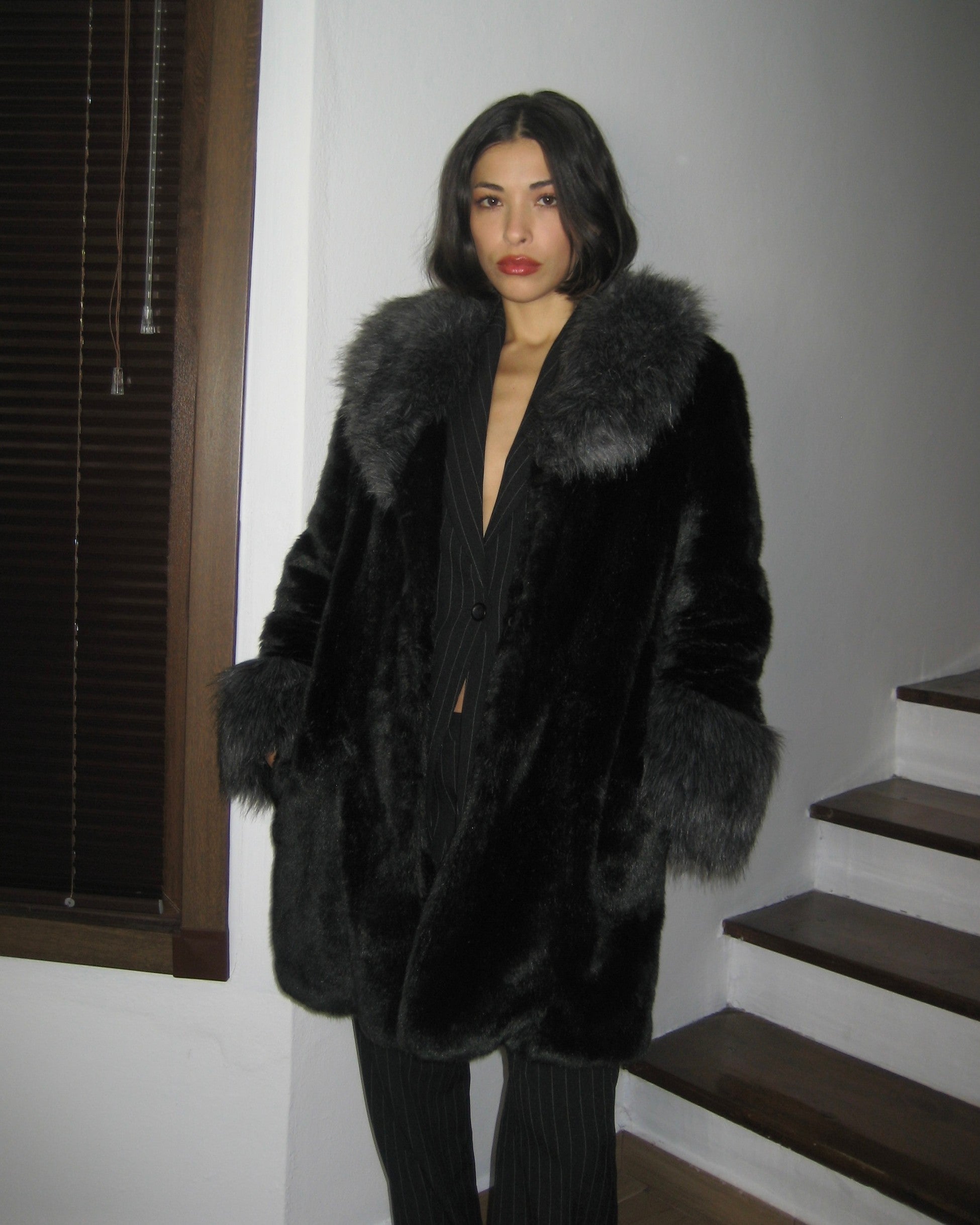 Black Plush Fur with Gray Collar