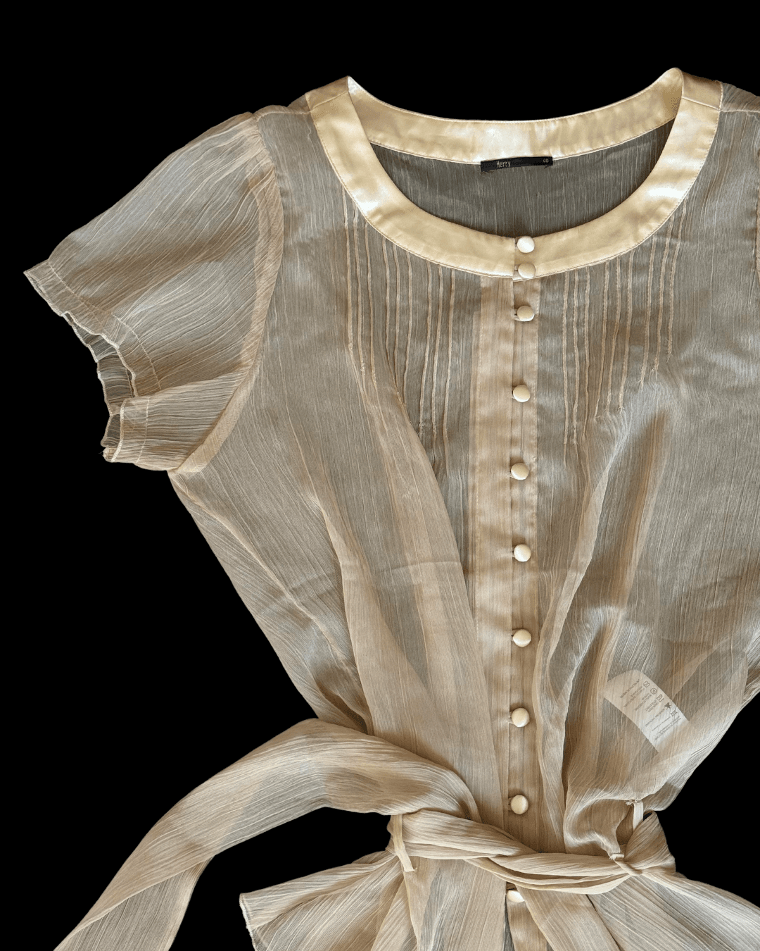 Belted Sheer Blouse