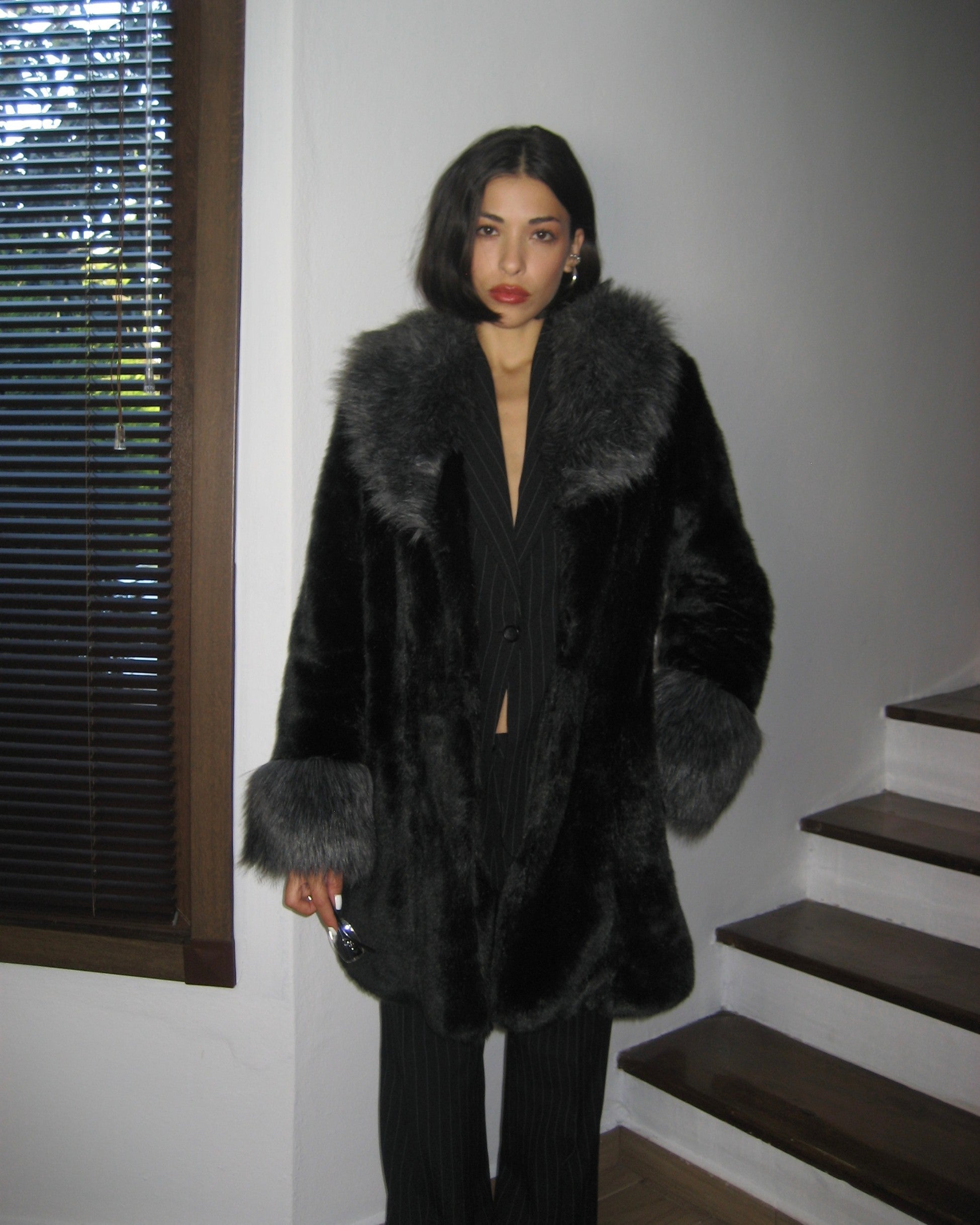 Black Plush Fur with Gray Collar