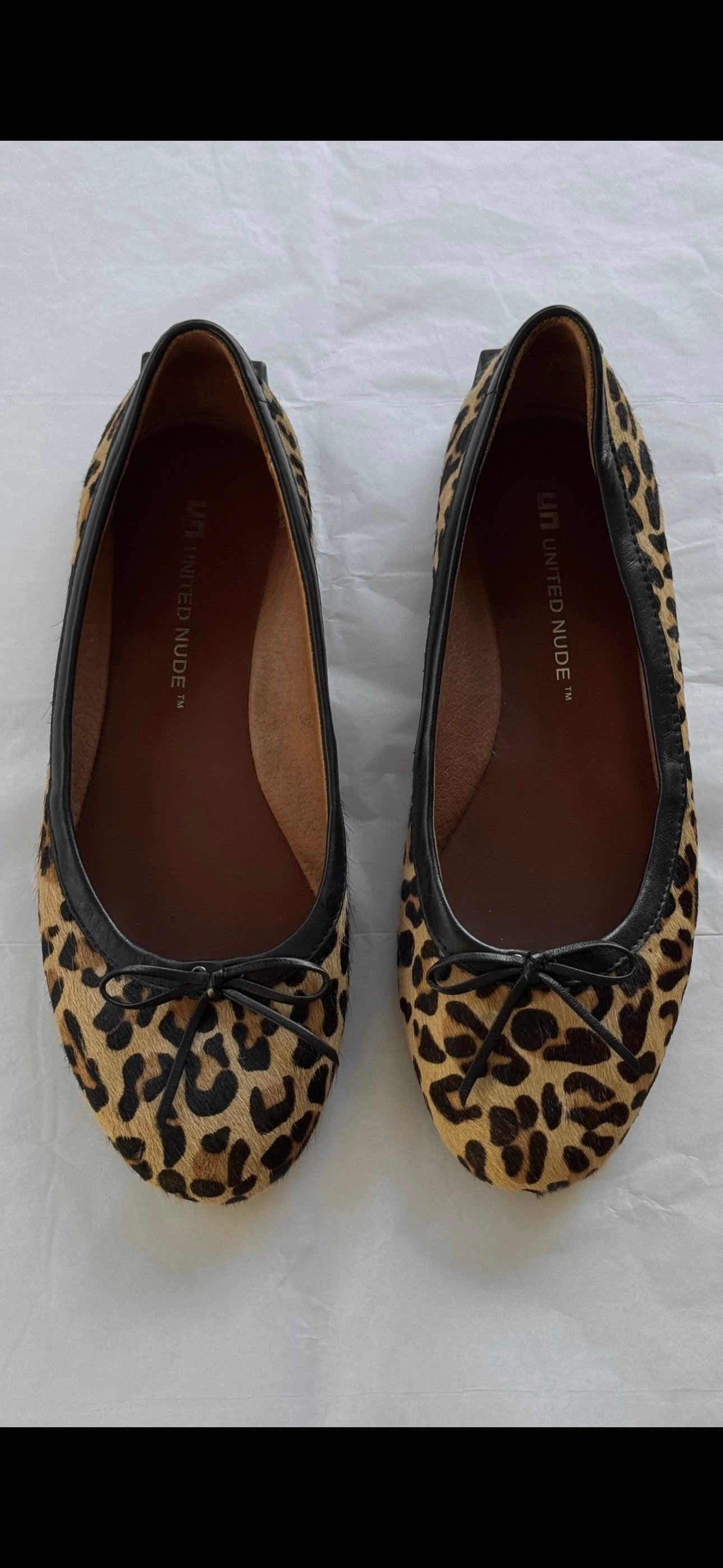 Leopar Babet