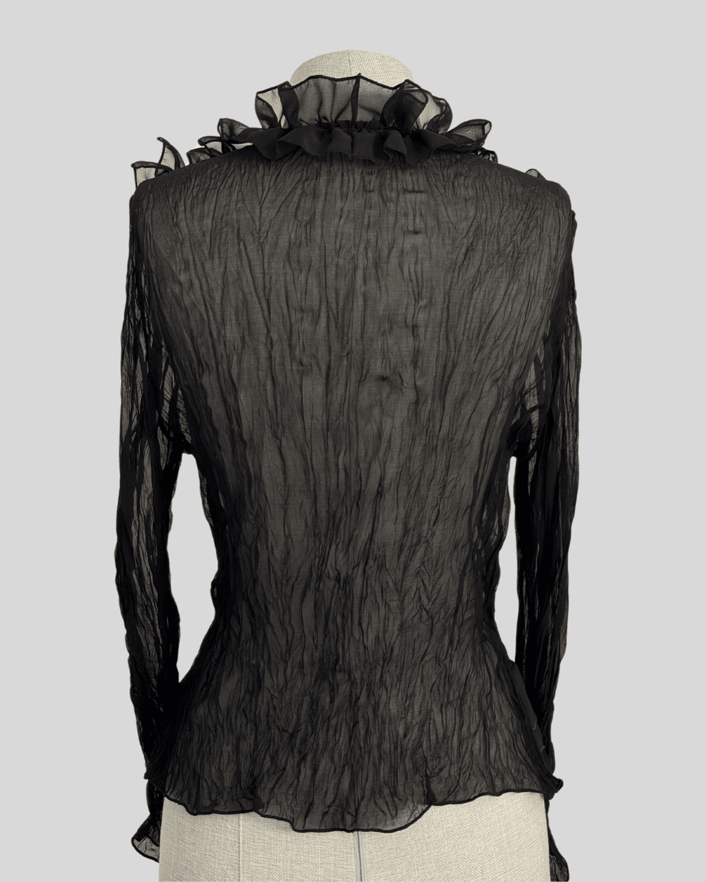 Black Transparent Blouse